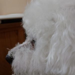 Meet your Posher, Kim